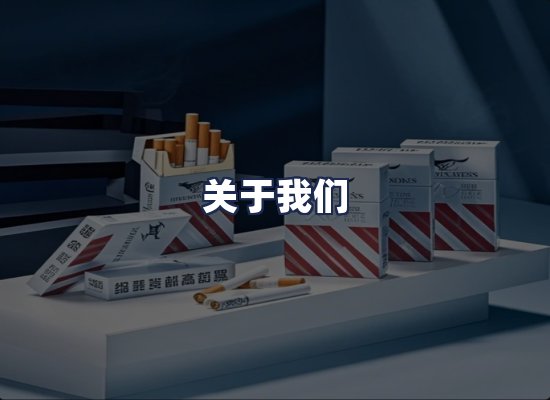 关于我们